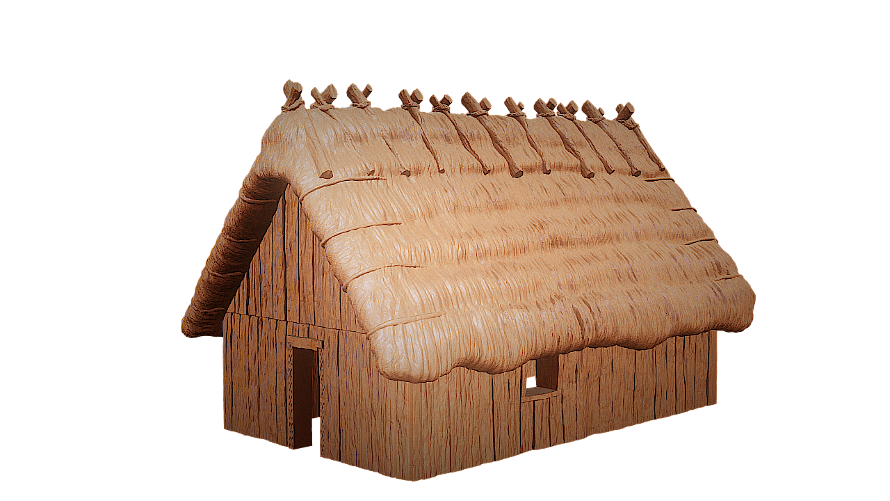 Celtic House E